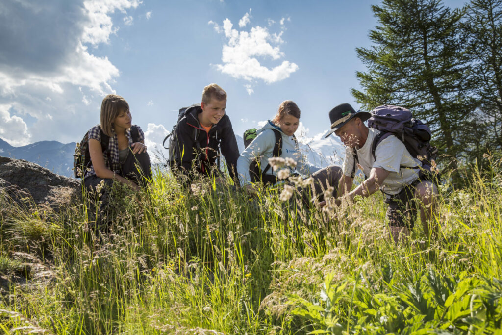 Nationalpark Hohe Tauern